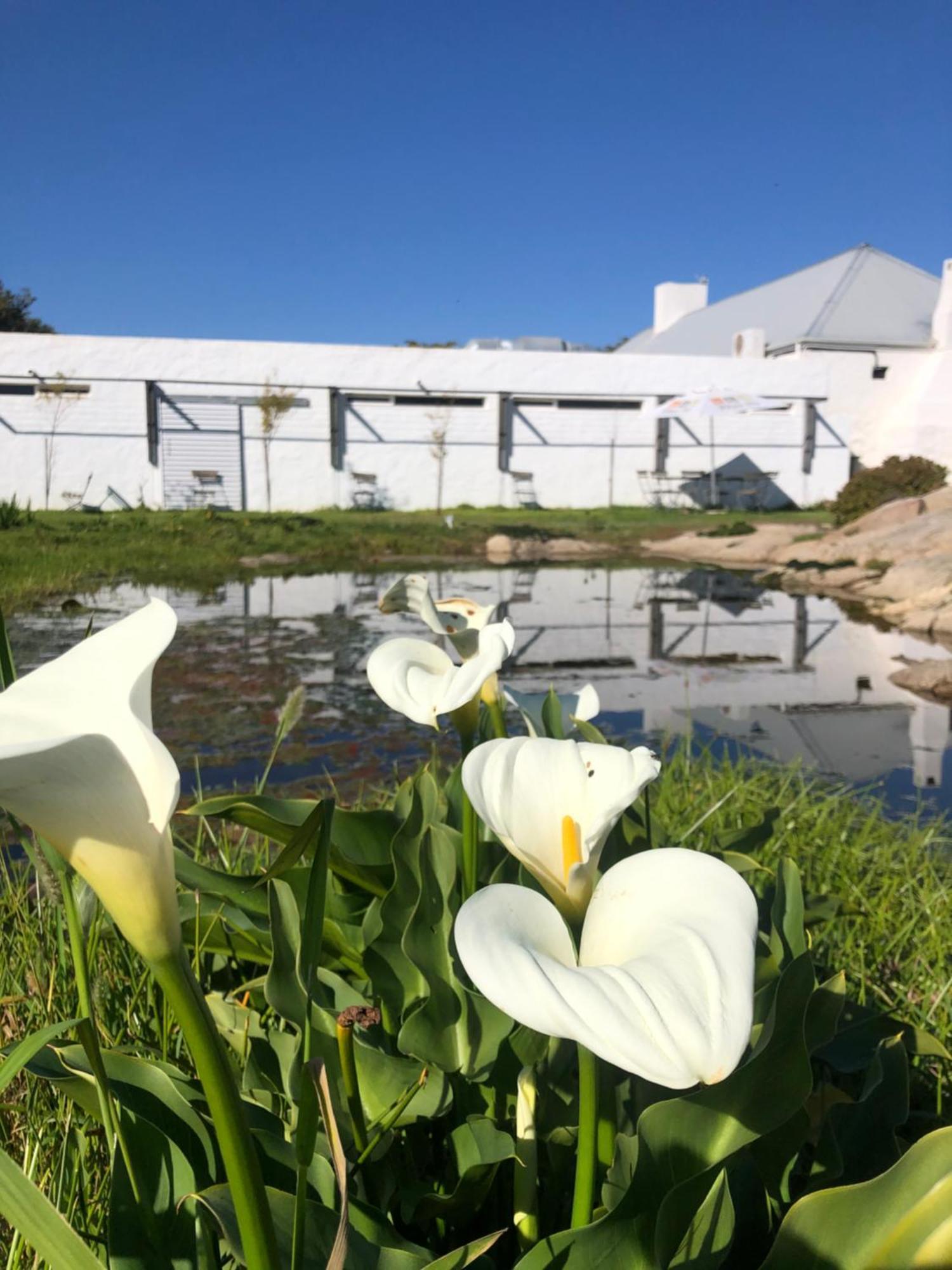 Bed and Breakfast !Khwa Ttu Swartwater Exterior foto