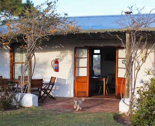 Bed and Breakfast !Khwa Ttu Swartwater Exterior foto